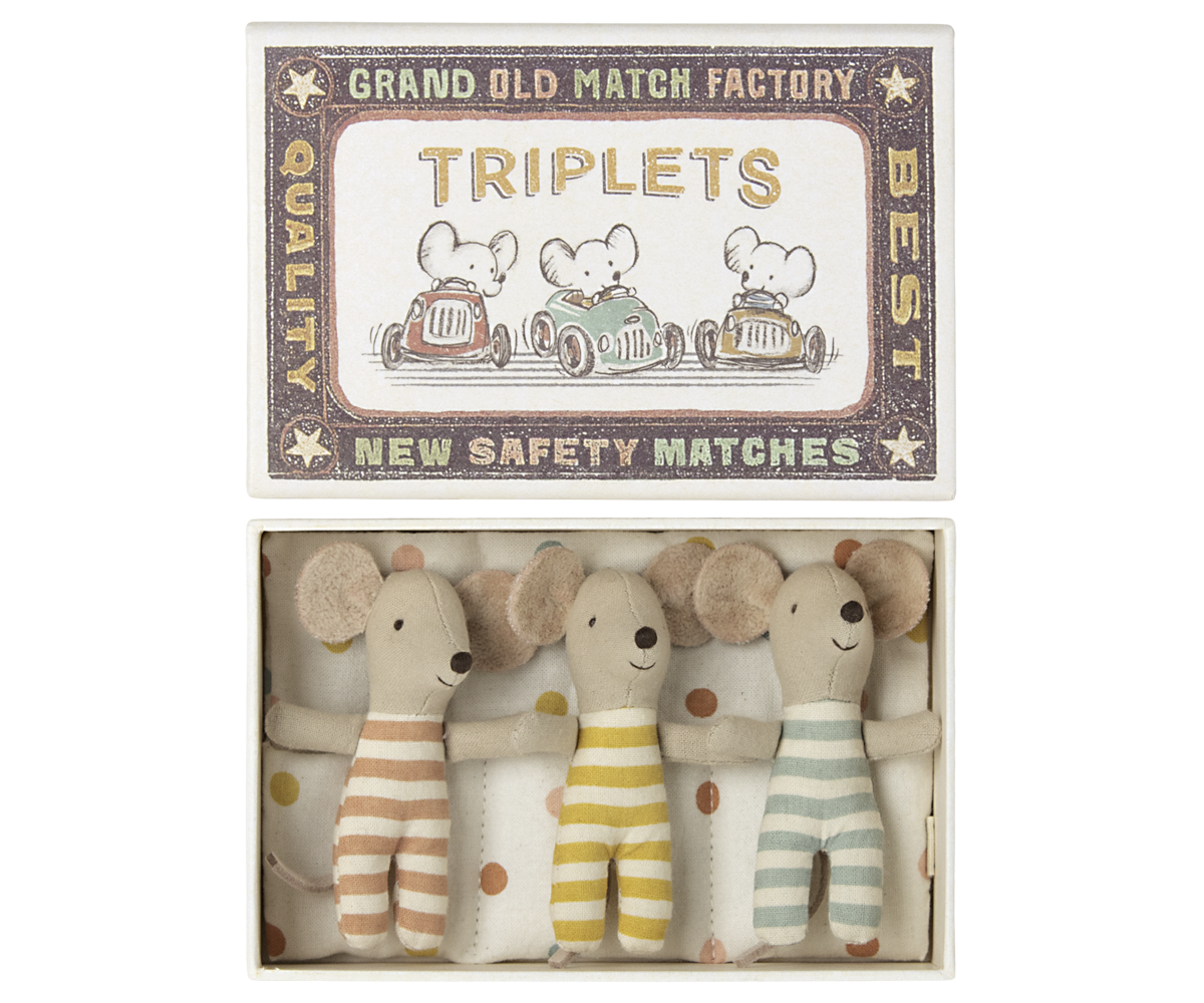 Triplets Baby Mice in Matchbox